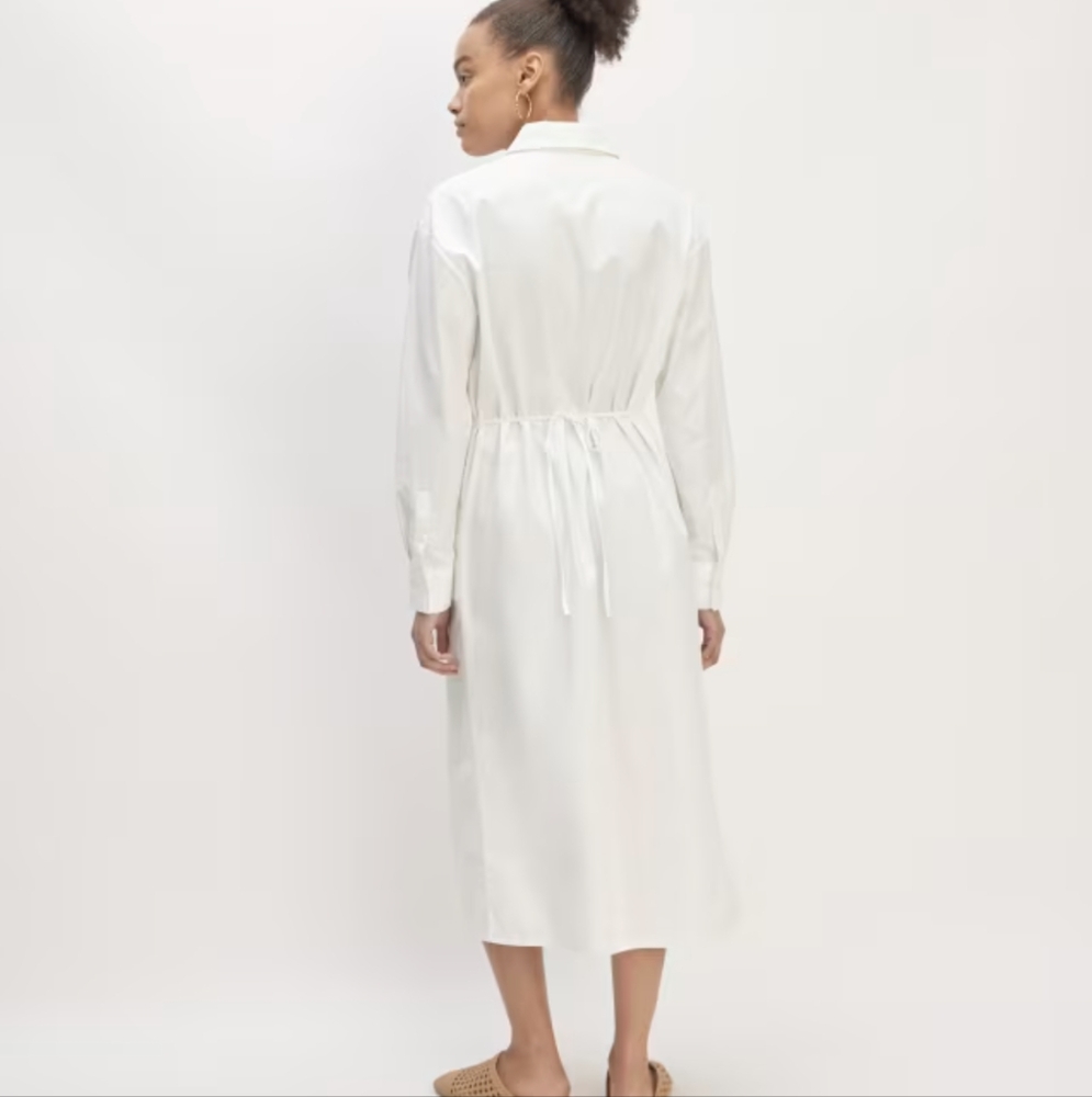 🆕EVERLANE The Supima® Cotton Midi Shirt Dress - Picture 7 of 12